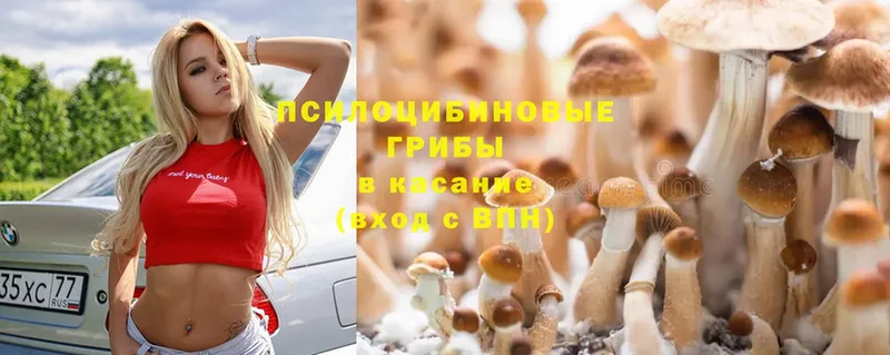 omg зеркало  Конаково  Галлюциногенные грибы Cubensis  как найти наркотики 